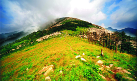 4 秦岭终南山世界地质公园-高山草甸（摄影：高文信）.jpg