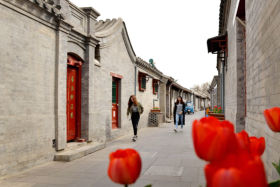 微信截图_20230220135151.png