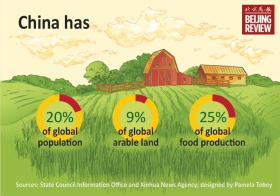 FoodSecurity1-logo.jpg