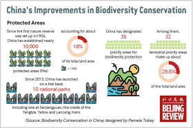 Biodiversity1.jpg