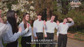 14.伯乐合唱团.mp4_20260423_135727.979.jpg