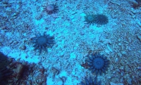 139270681_15967557281881n.jpg