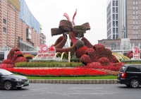 1101AT82_083175.jpg