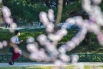 2020年3月22日，元土城遗址公园里，市民戴着口罩在春花中_072574.jpg