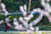 2020年3月22日，元土城遗址公园里，市民戴着口罩在春花中_072574.jpg