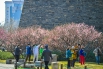 2020年3月17日，北京明城墙遗址公园的梅花盛开。_072584.jpg