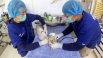 BRRC rehabilitators are doing _090927.jpg