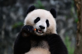 微信图片_20241022095313.jpg