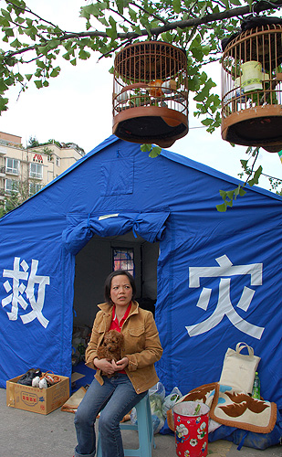 A woman sits with her dog outside a tent given to her by the government as part of its relief work in Dujiangyan